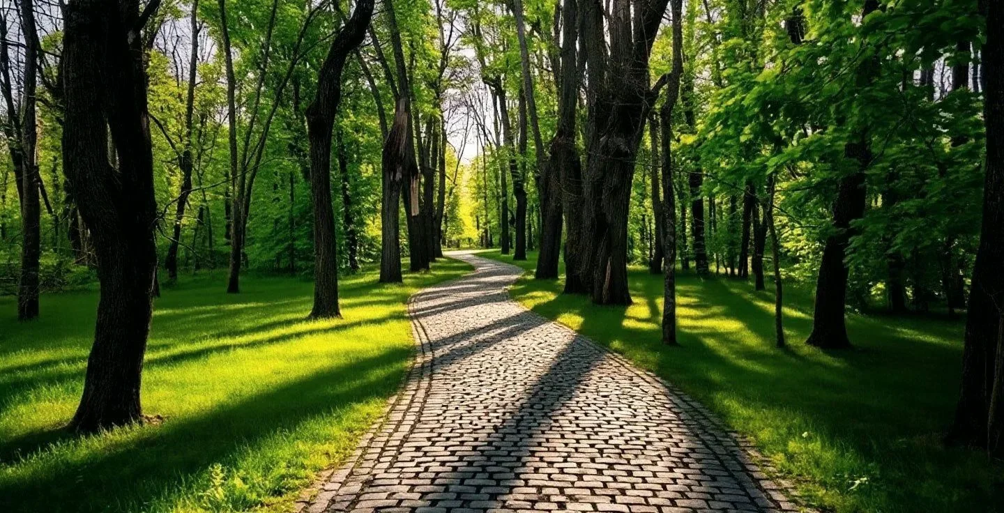 Аллея усадебного парка