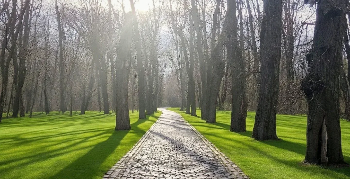 Аллея парка